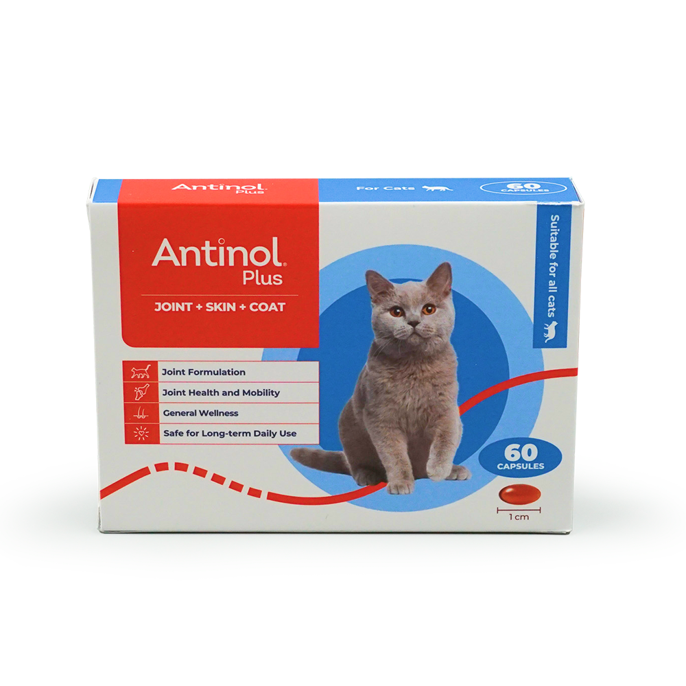 Antinol Plus joint skin coat 60 capsules 