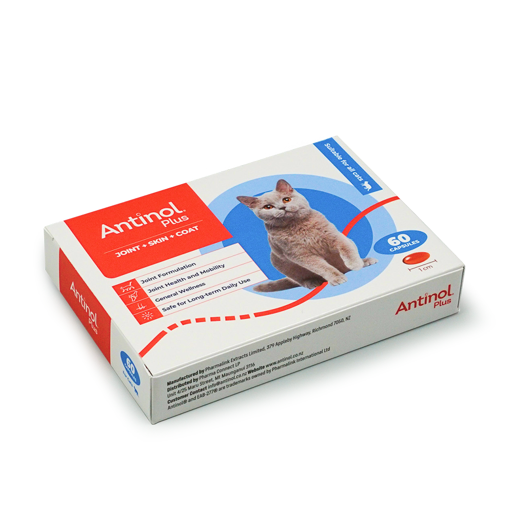 Antinol Plus joint skin coat 60 capsules 